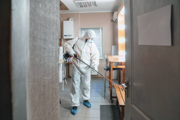 Best Black Mold Removal  in Spring Grove, PA