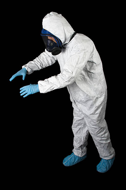 Mold Odor Removal Services